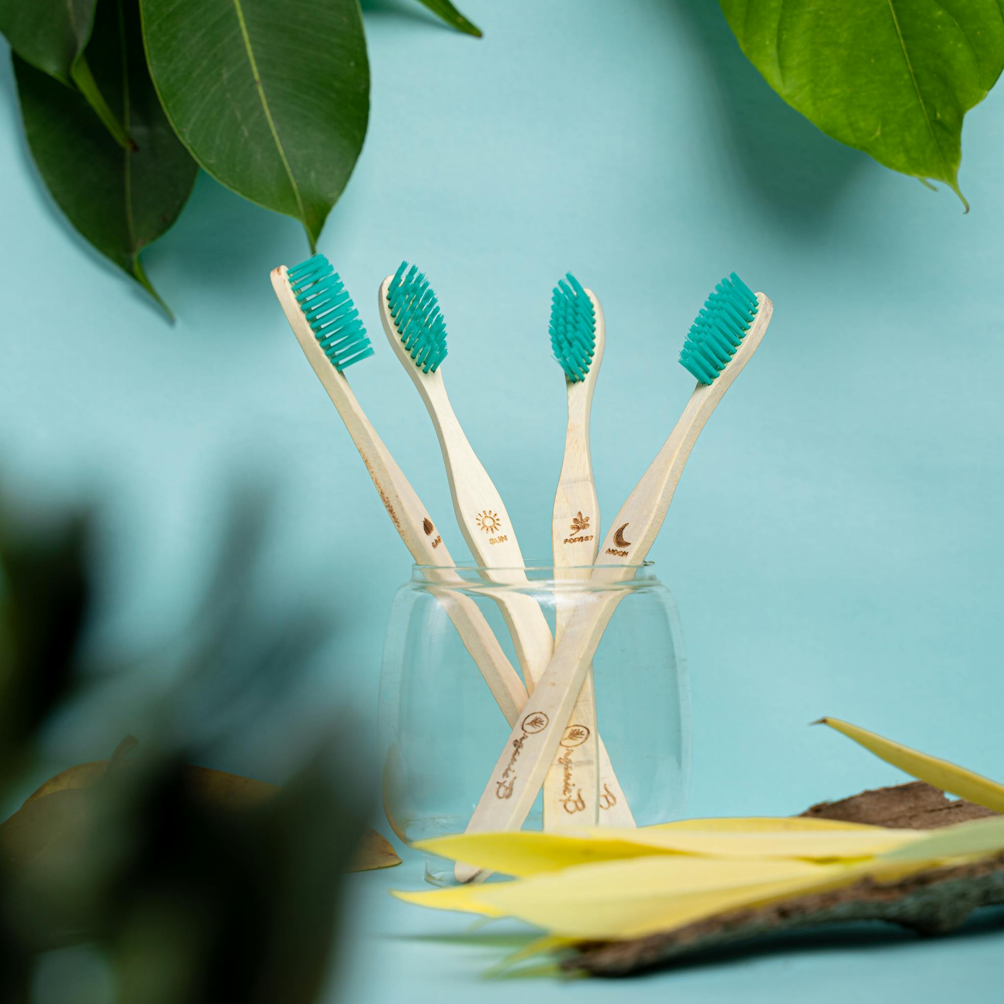 Minimalist Bamboo Toothbrushes Arranged In A Glass